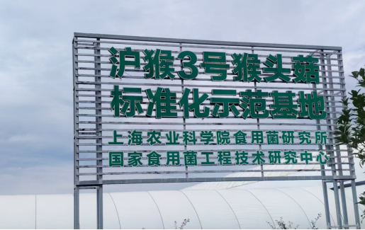 台太公司董事长李友军一行赴句容市考察食用菌种植基地